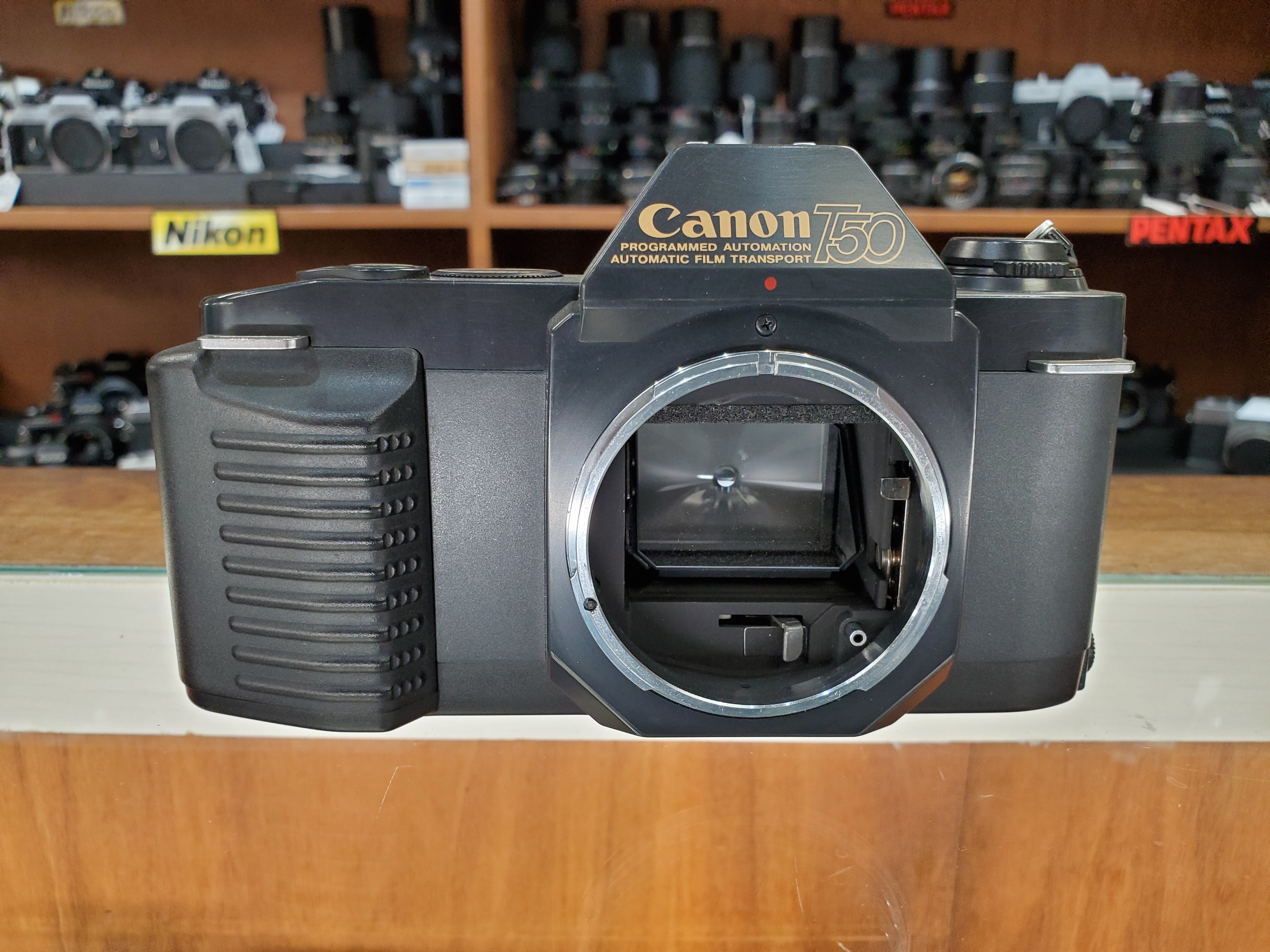 Canon T50 - フィルムカメラ